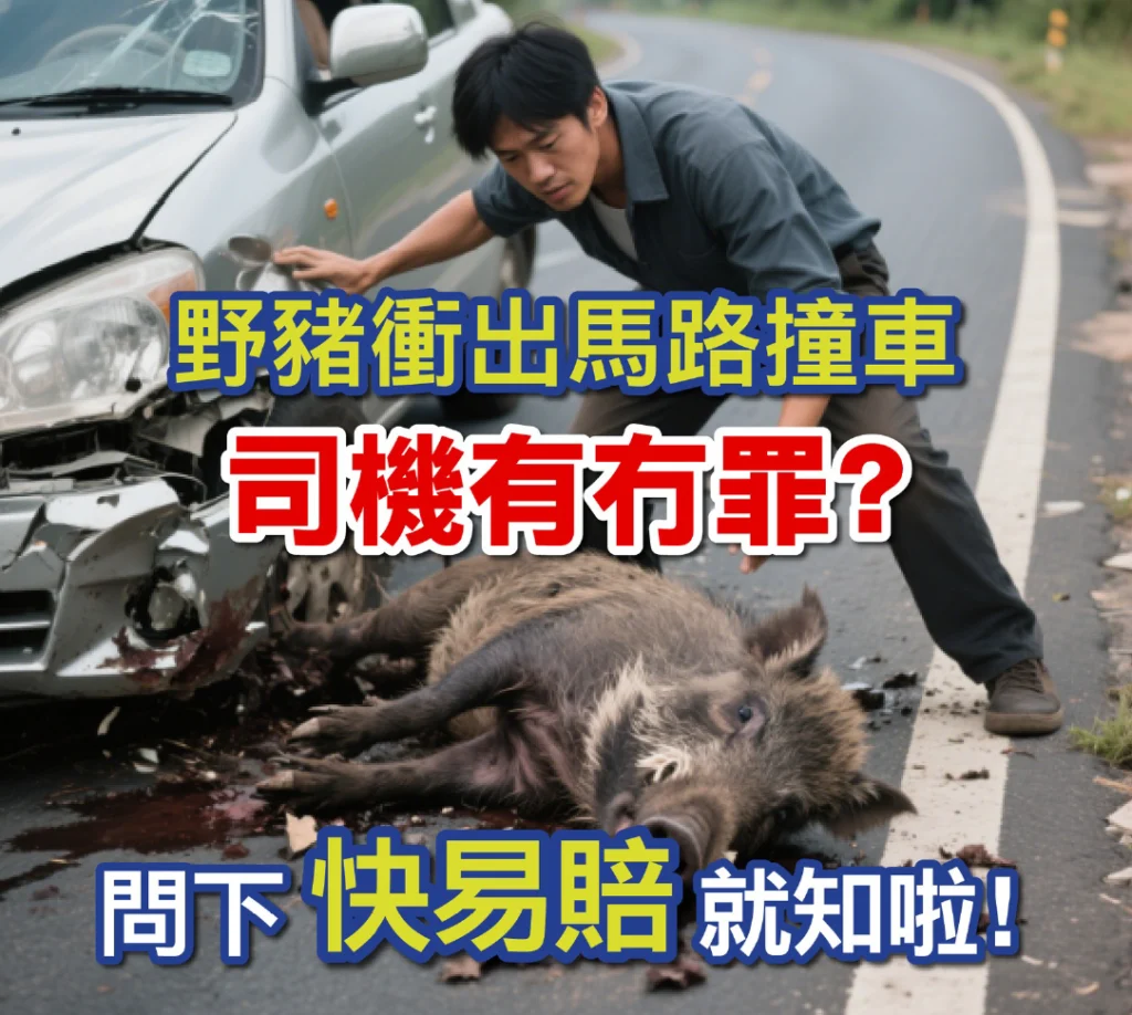 野豬衝出馬路撞車，司機有冇罪？ 問下「快易賠」就知啦！